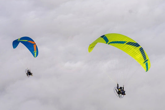 Ozone Viper 6